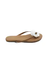 Solei Sea Sandals Valentina Sandal