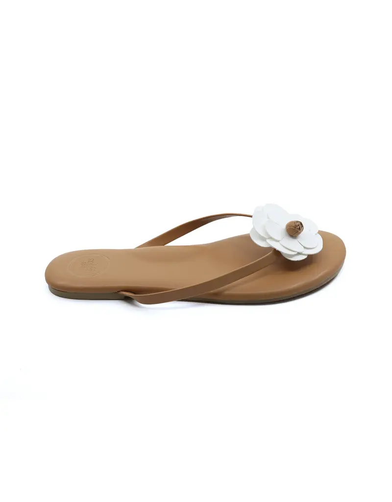 Solei Sea Sandals Valentina Sandal