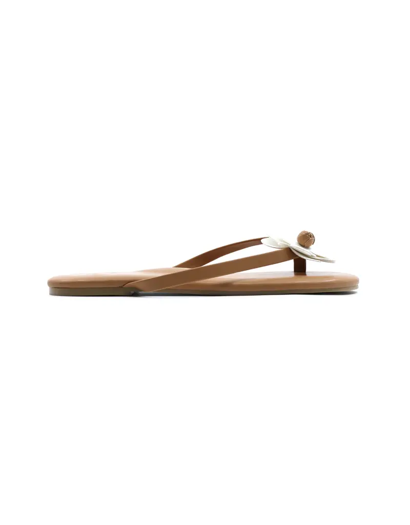 Solei Sea Sandals Valentina Sandal