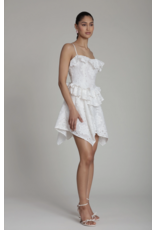 Avec Les Filles Broderie Anglaise Cotton Ruffle Mini Dress