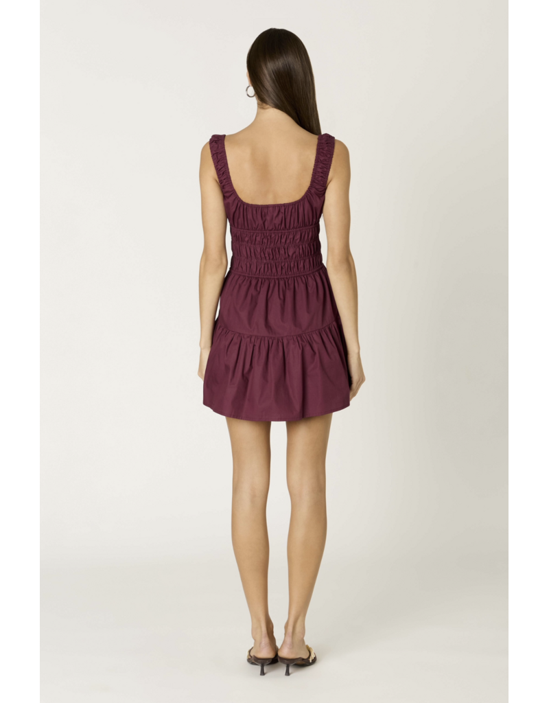 NIA Salt Dress