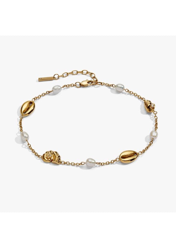 Alex + Ani Seashell & Pearl Inline Charm Anklet