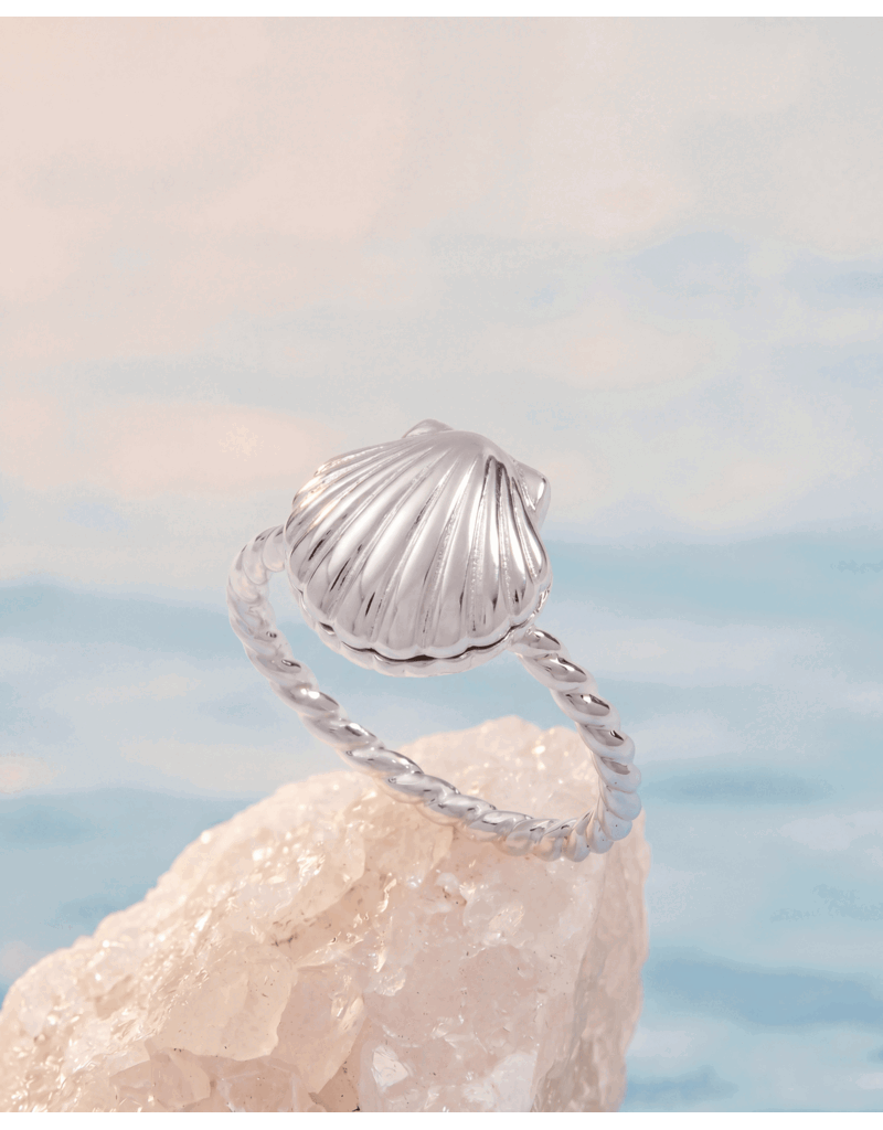 Alex + Ani Salt + Sea 'Seashells Are Love Letters In The Sand' Locket Ring