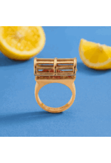 Alex + Ani Lobster Boil Hinged Cage Ring
