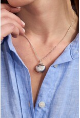 Alex + Ani Salt + Sea 'Seashells Are Love Letters In The Sand' Seashell Locket Pendant