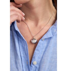 Alex + Ani Salt + Sea 'Seashells Are Love Letters In The Sand' Seashell Locket Pendant