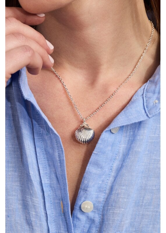 Alex + Ani Salt + Sea 'Seashells Are Love Letters In The Sand' Seashell Locket Pendant