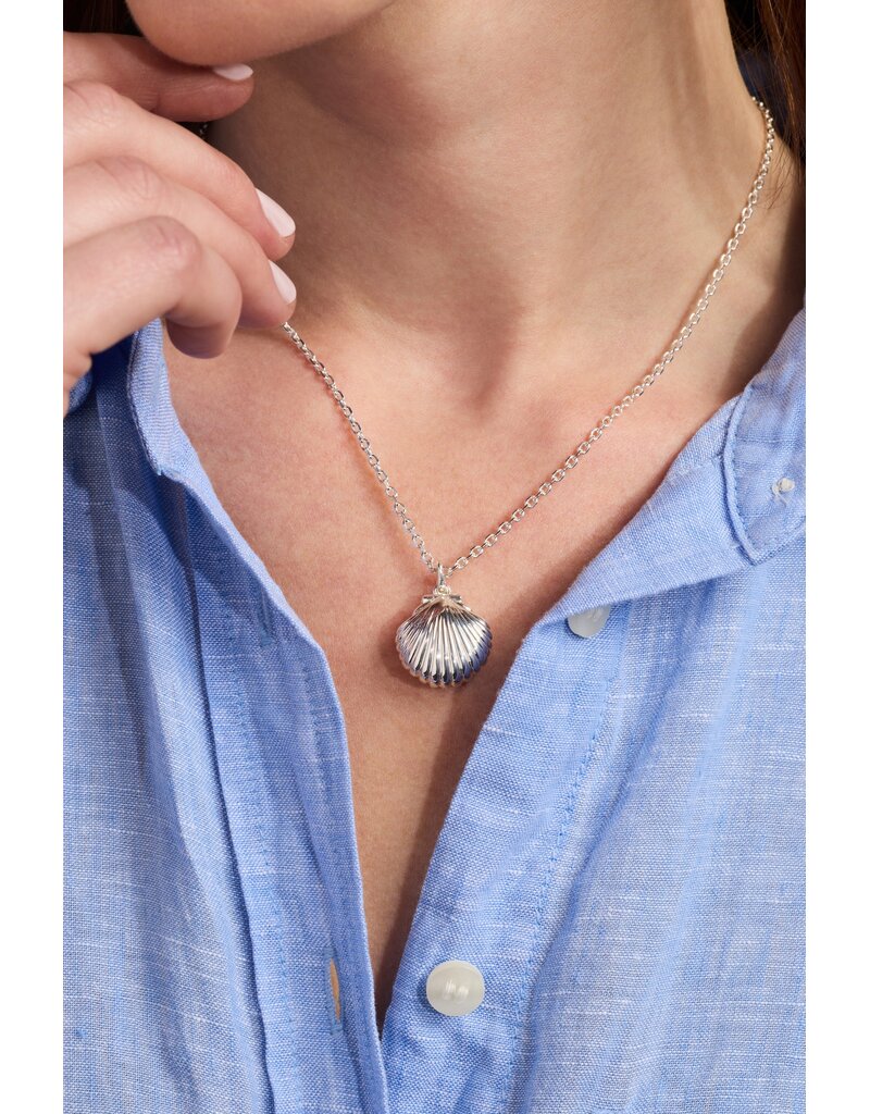 Alex + Ani Salt + Sea 'Seashells Are Love Letters In The Sand' Seashell Locket Pendant