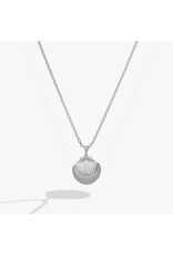 Alex + Ani Salt + Sea 'Seashells Are Love Letters In The Sand' Seashell Locket Pendant