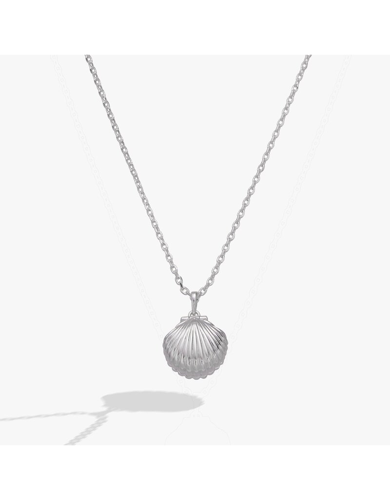 Alex + Ani Salt + Sea 'Seashells Are Love Letters In The Sand' Seashell Locket Pendant
