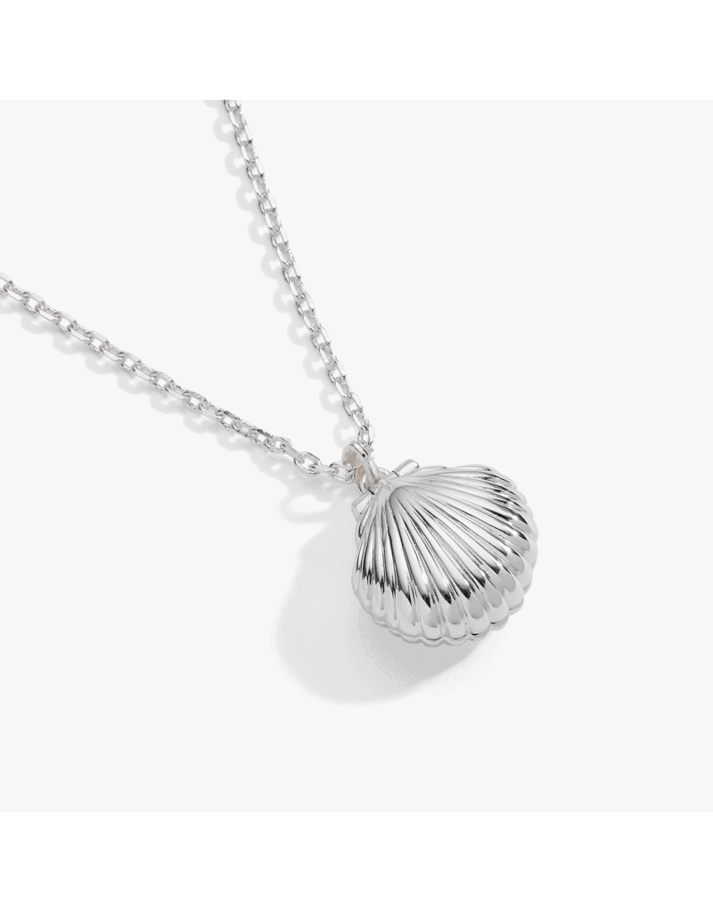 Alex + Ani Salt + Sea 'Seashells Are Love Letters In The Sand' Seashell Locket Pendant