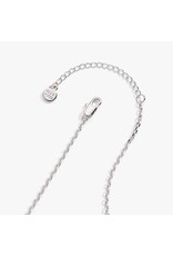 Alex + Ani Salt + Sea 'Seashells Are Love Letters In The Sand' Seashell Locket Pendant