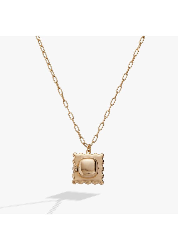 Alex + Ani Pasta Girl 'Anything Is Pastable' Ravioli Locket Pendant