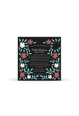 FinchBerry Handcrafted Boxed Vegan Soap - Hello Sunshine