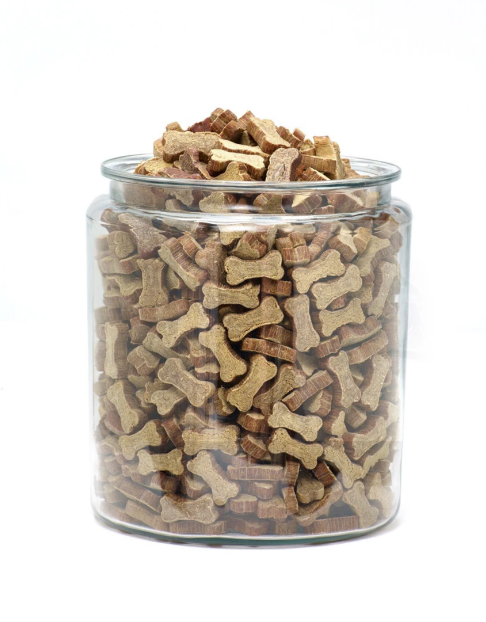 polka dog lucky duck