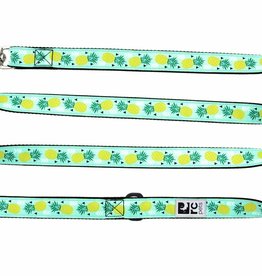 RC Pet Products Leash 6ft 3/4in