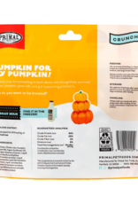 Primal Pet Foods Primal- Pumpkin For My Pumpkin! Dog Treats
