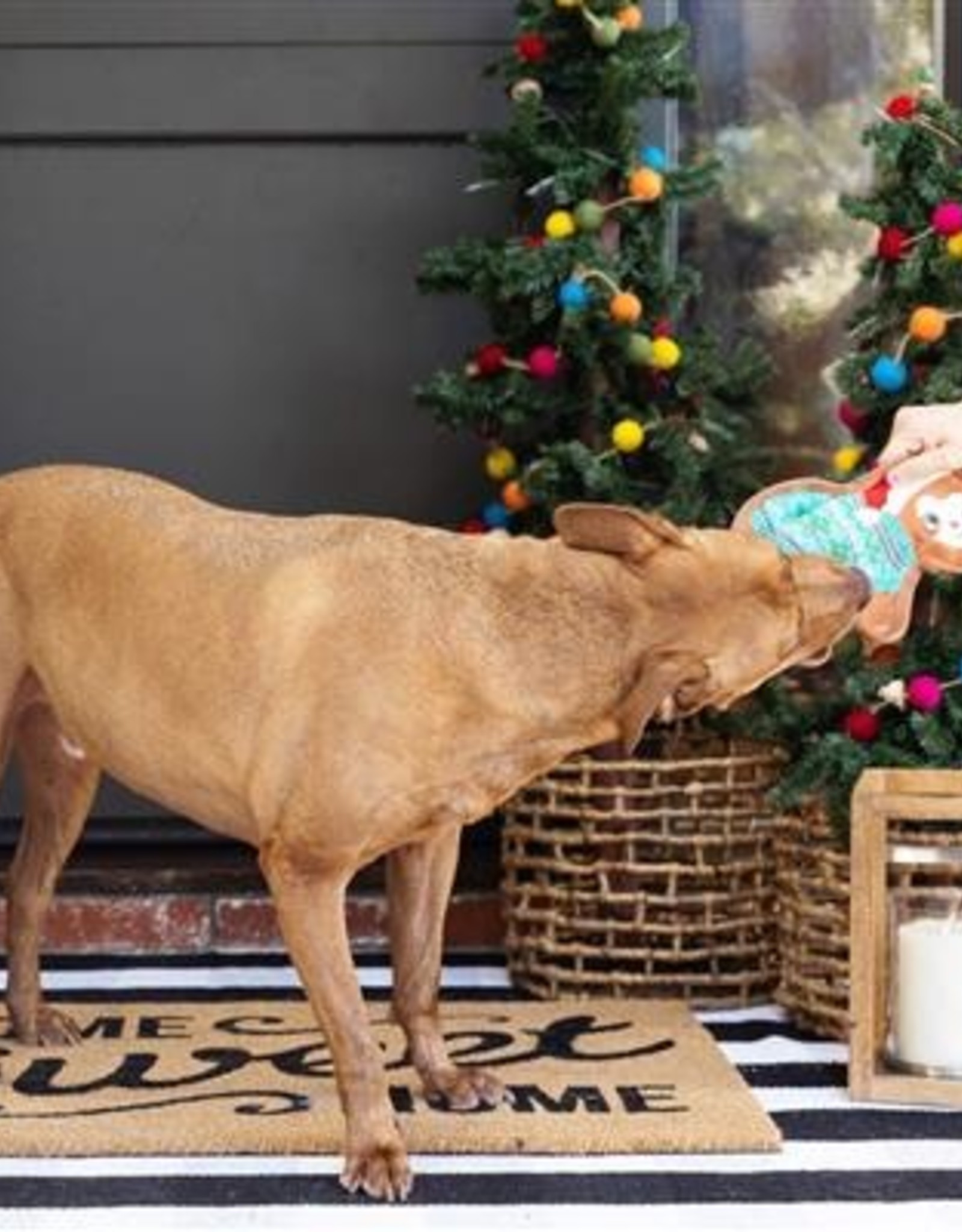 Pet Shop by Fringe Studio Snuggled Up Durable Plush Dog Toy
