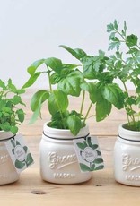 Jar Garden- Ceramic Jar & Plant