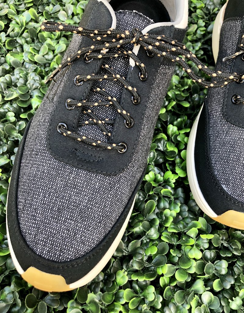 TOMS Arroyo Canvas Sneaker |Size 10|