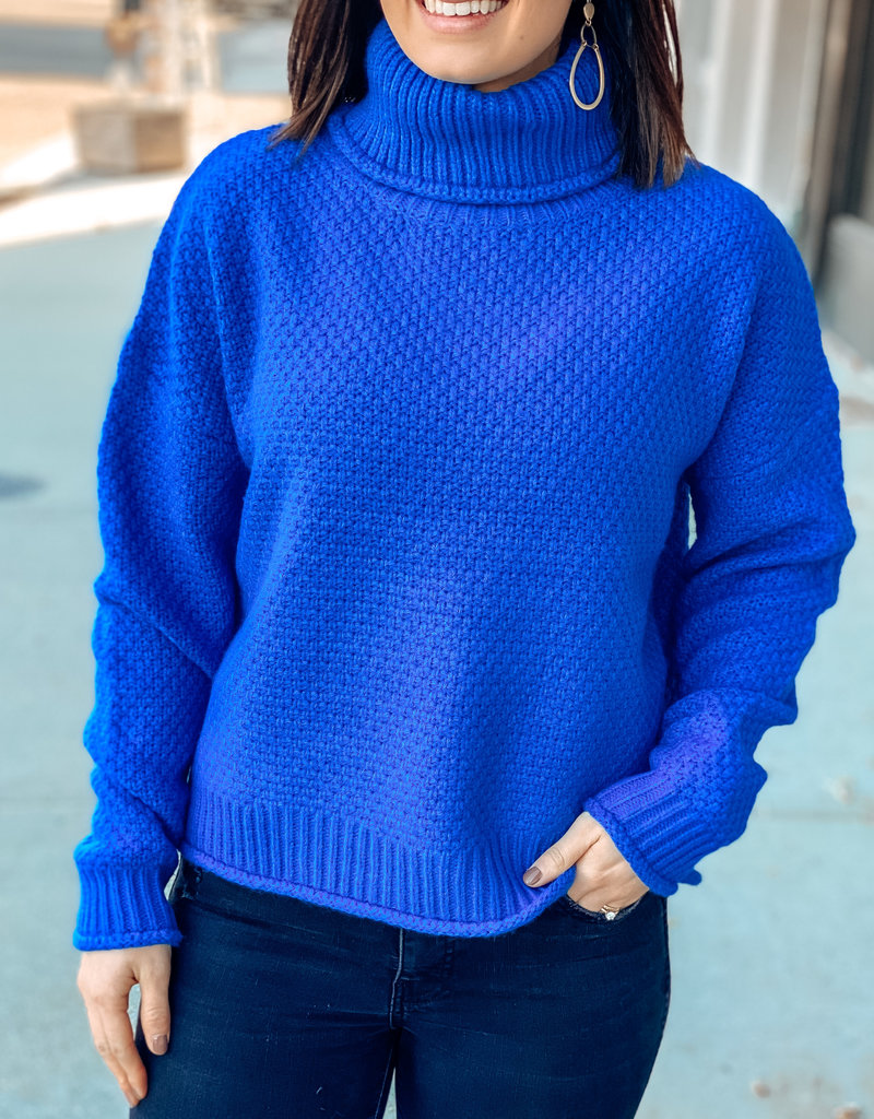 509 Broadway Hailee Turtle Neck Knit Sweater