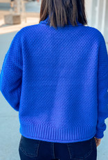 509 Broadway Hailee Turtle Neck Knit Sweater