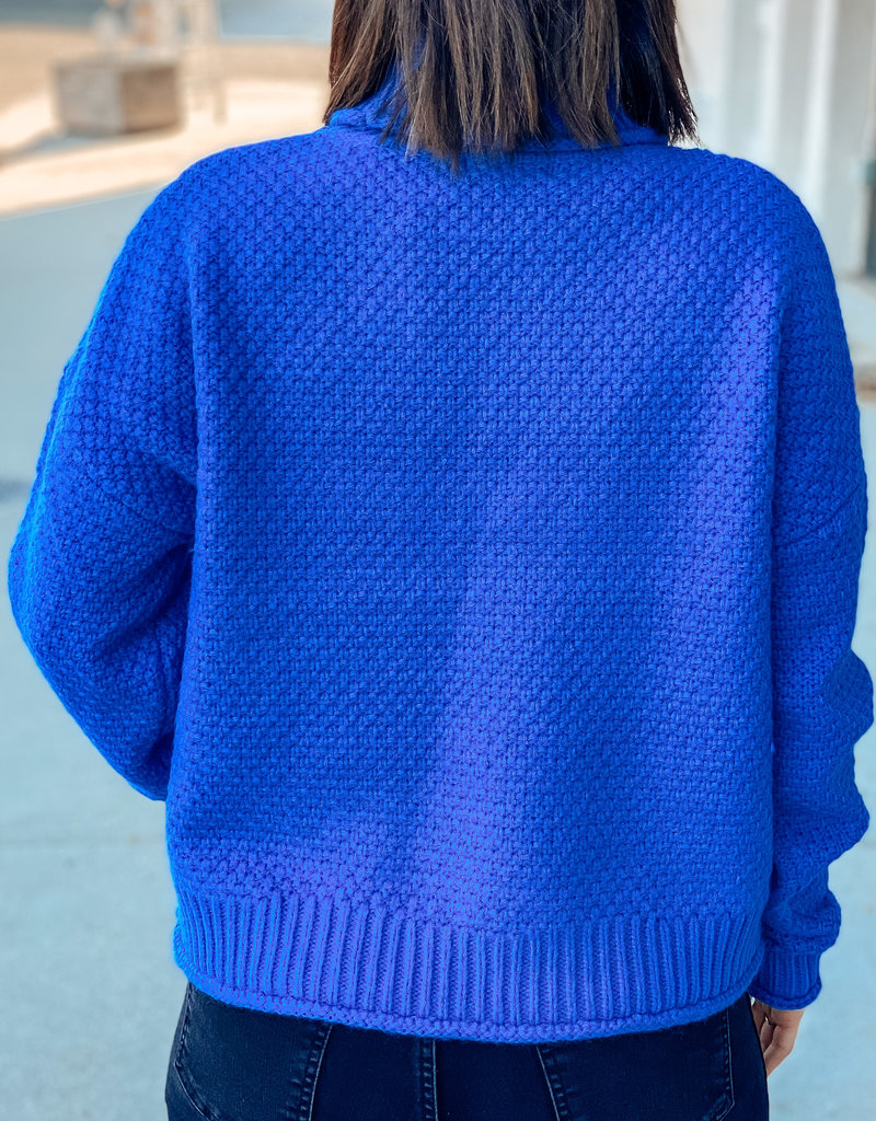 509 Broadway Hailee Turtle Neck Knit Sweater