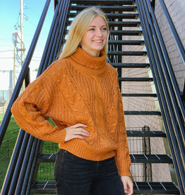 509 Broadway Turtle Neck Cable Sweater