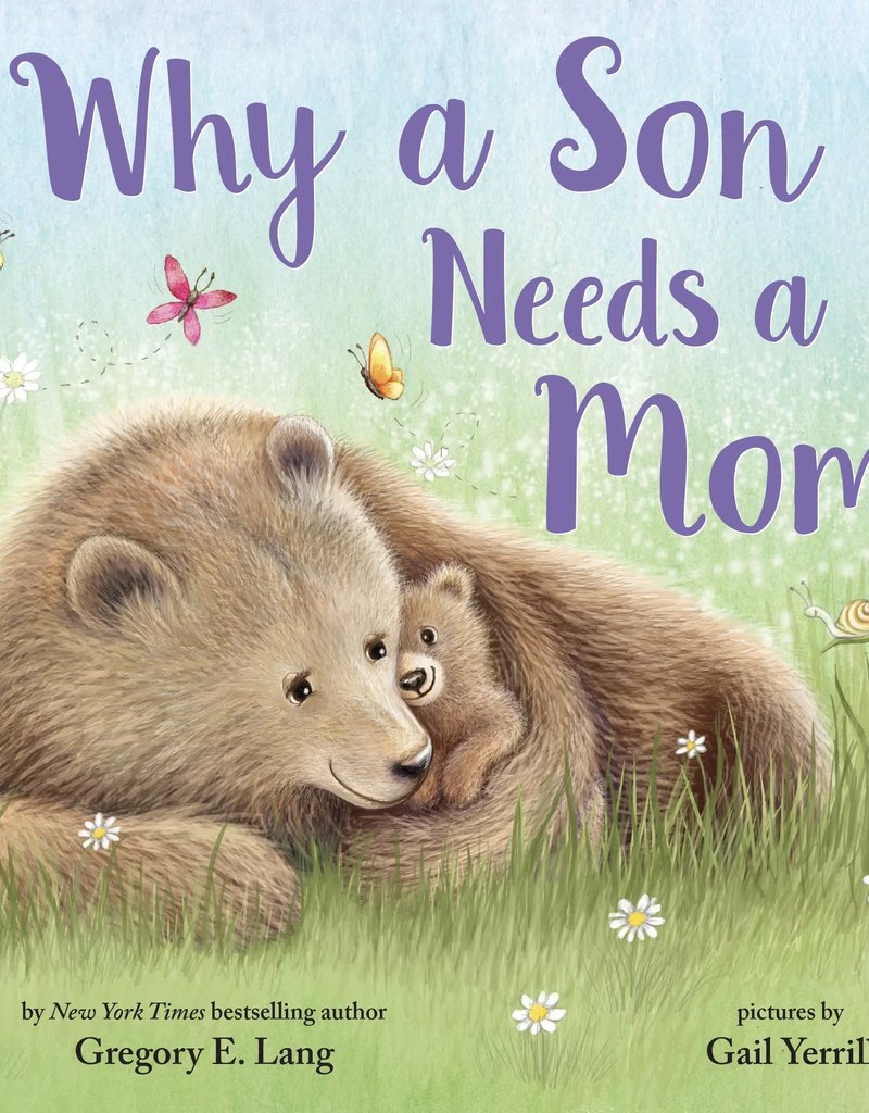 Sourcebooks Why A Son Needs A Mom Book