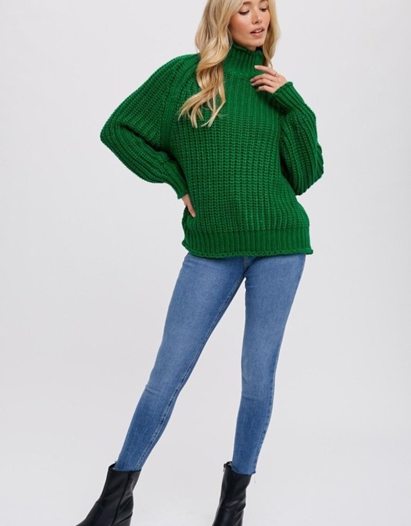 509 Broadway Chunky Turtle Neck Sweater