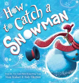 Sourcebooks How To Catch A Snowman