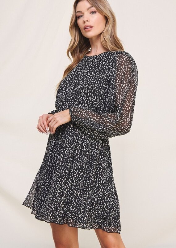 509 Broadway Printed Chiffon Long Sleeve Dress