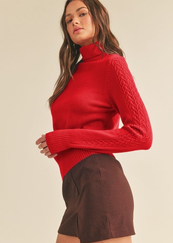509 Broadway Cable Knit Turtle Neck Sweater