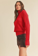 509 Broadway Cable Knit Turtle Neck Sweater
