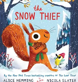 509 Broadway Snow Thief