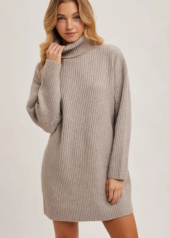 509 Broadway Turtle Neck Sweater Dress
