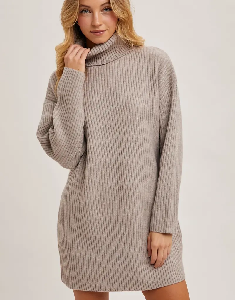 509 Broadway Turtle Neck Sweater Dress