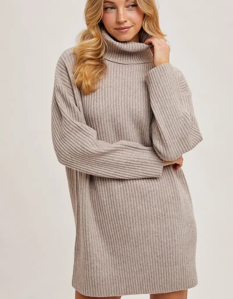 509 Broadway Turtle Neck Sweater Dress