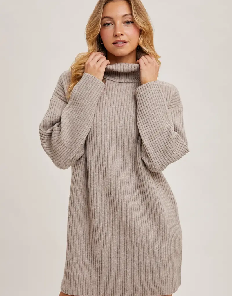 509 Broadway Turtle Neck Sweater Dress
