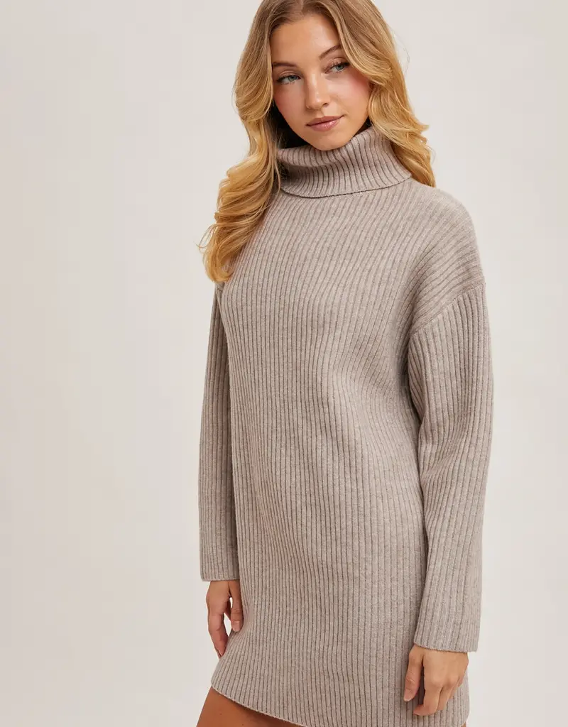 509 Broadway Turtle Neck Sweater Dress