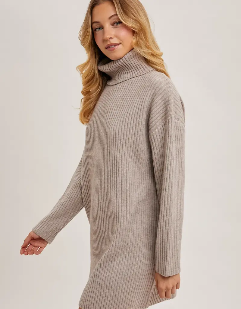 509 Broadway Turtle Neck Sweater Dress
