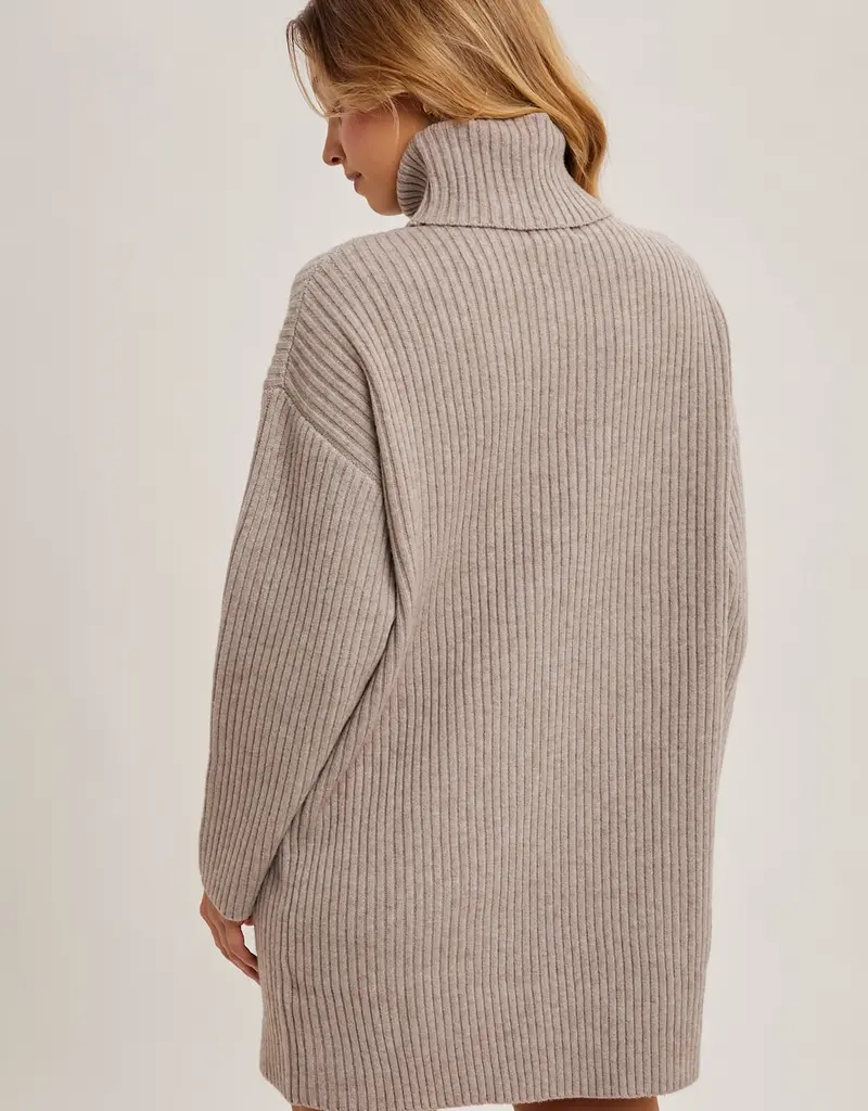 509 Broadway Turtle Neck Sweater Dress