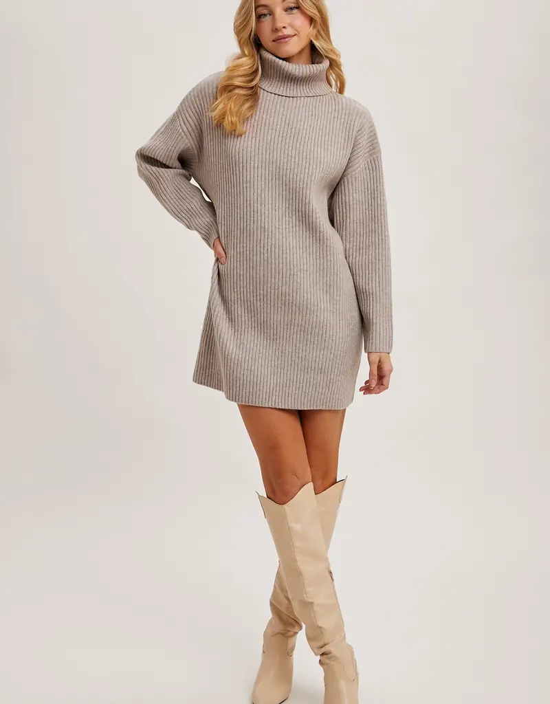 509 Broadway Turtle Neck Sweater Dress