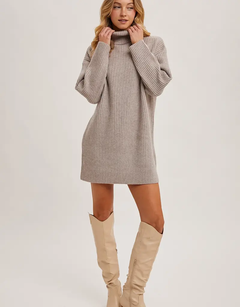 509 Broadway Turtle Neck Sweater Dress