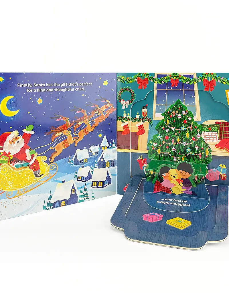 509 Broadway Santa's Special Christmas Gift Lift-A-Flap Board Book