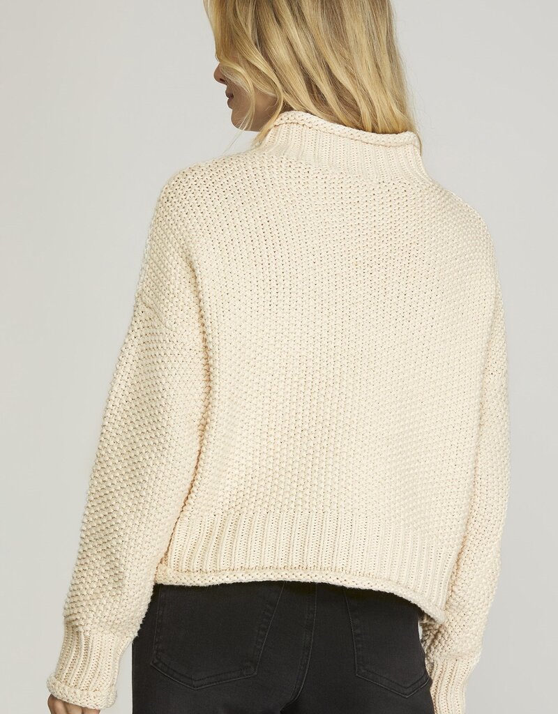 509 Broadway Turtle Neck Basic Sweater
