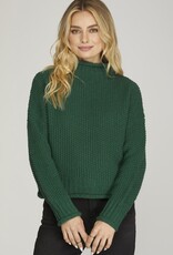 509 Broadway Turtle Neck Basic Sweater