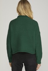 509 Broadway Turtle Neck Basic Sweater