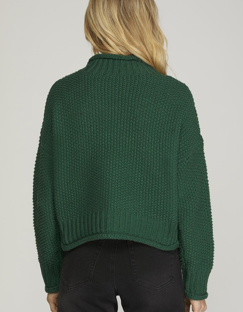 509 Broadway Turtle Neck Basic Sweater