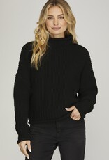 509 Broadway Turtle Neck Basic Sweater